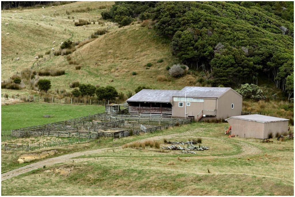 11 - Cape Farewell (03).jpg